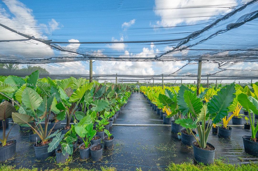 待售: $1,200,000 (5.00 acres)