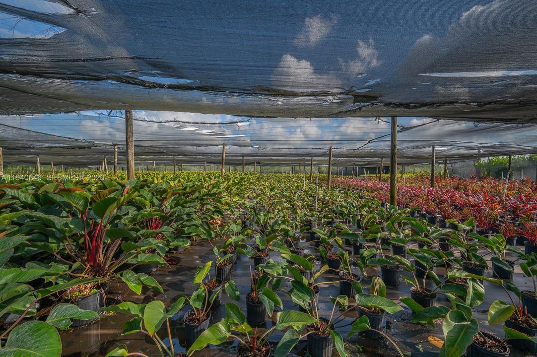 待售: $1,200,000 (5.00 acres)