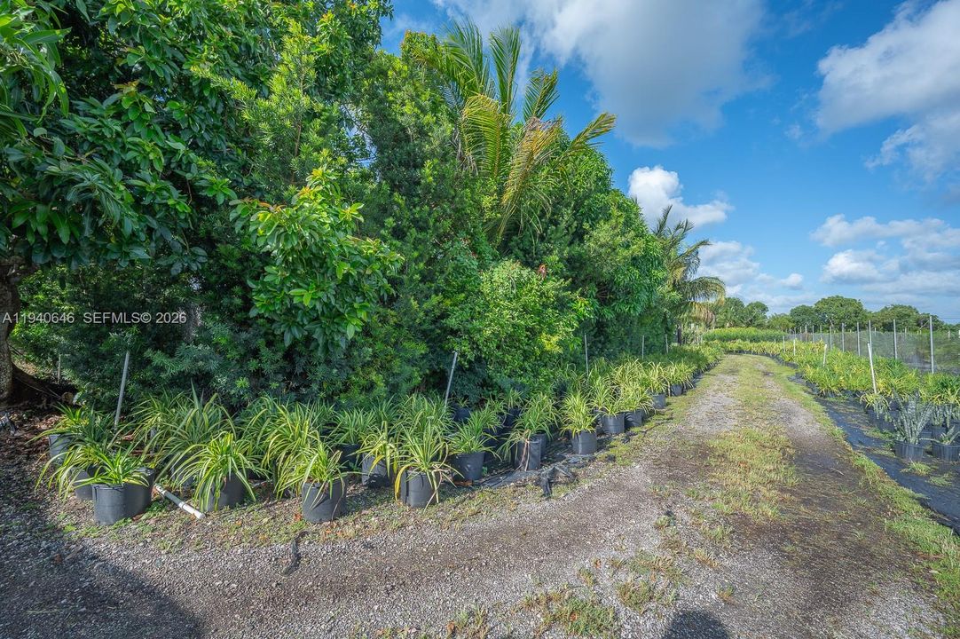 待售: $1,200,000 (5.00 acres)