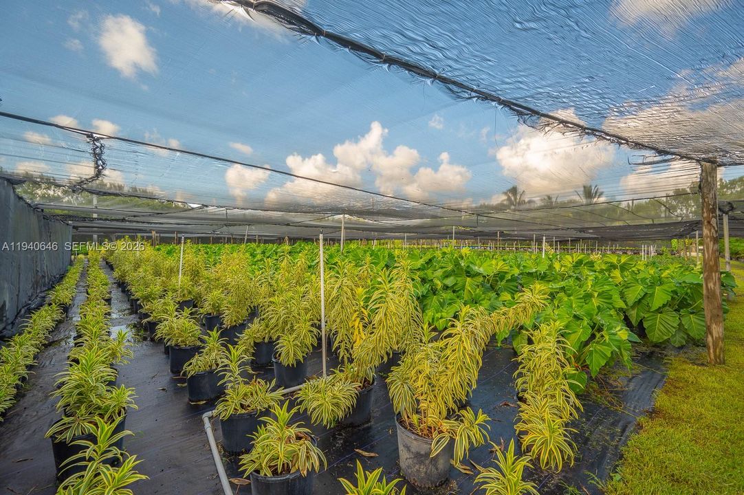 待售: $1,200,000 (5.00 acres)