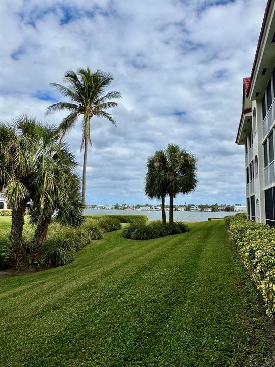 110 Half Moon Cir - Palm Tree Garden 2