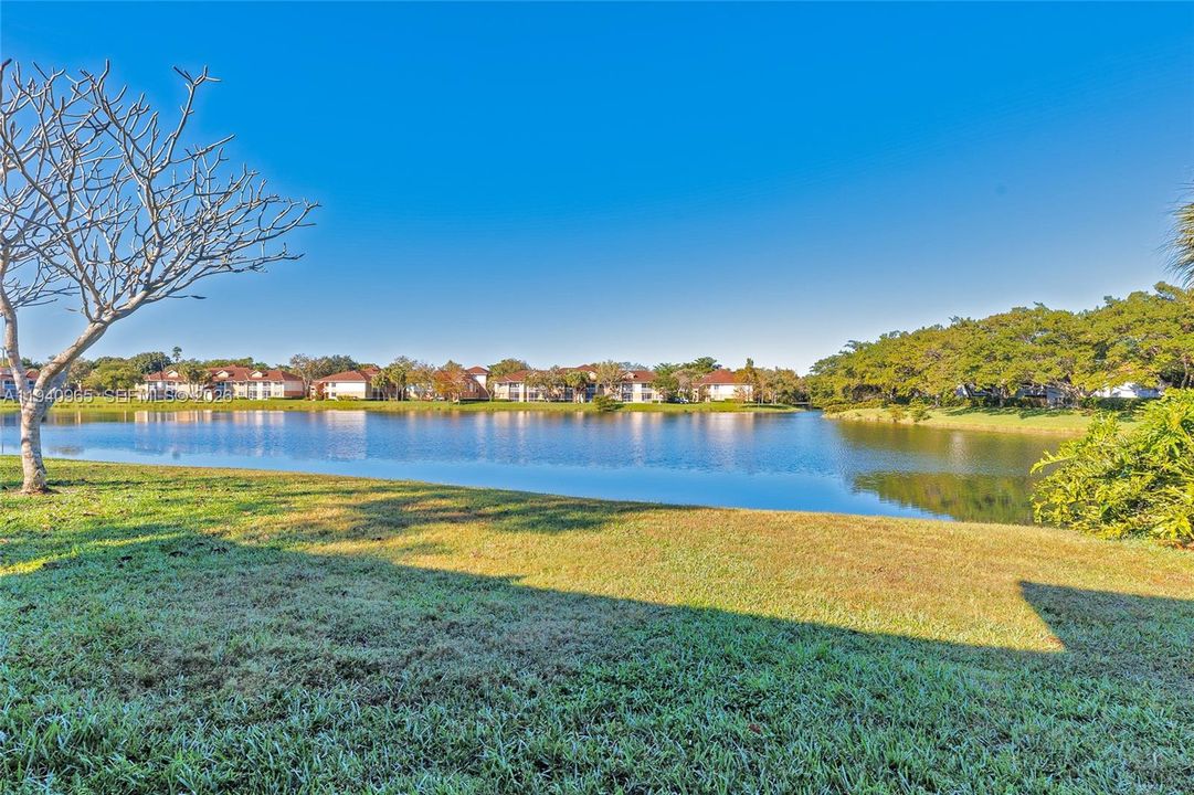 出租: $3,000 (3 贝兹, 2 浴室, 1492 平方英尺)