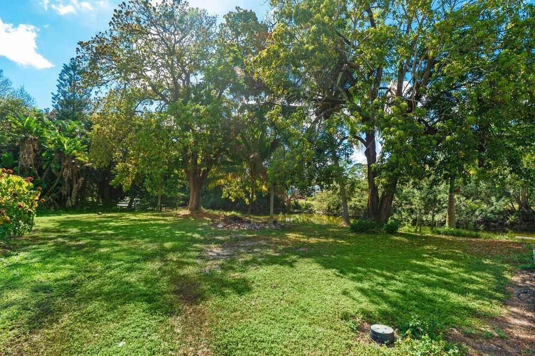 yard
