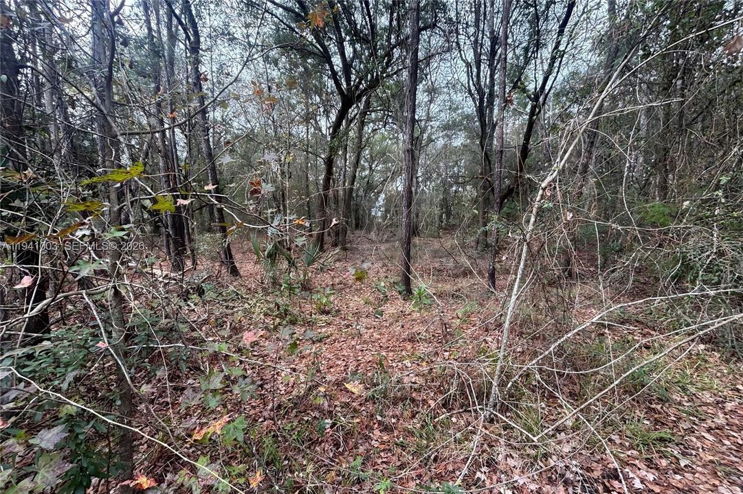 На продажу: $85,000 (1.34 acres)