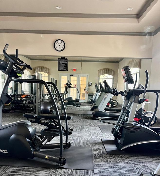Large Gym