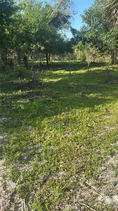 待售: $50,000 (1.25 acres)