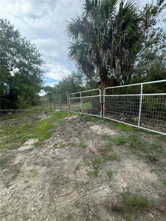 待售: $50,000 (1.25 acres)