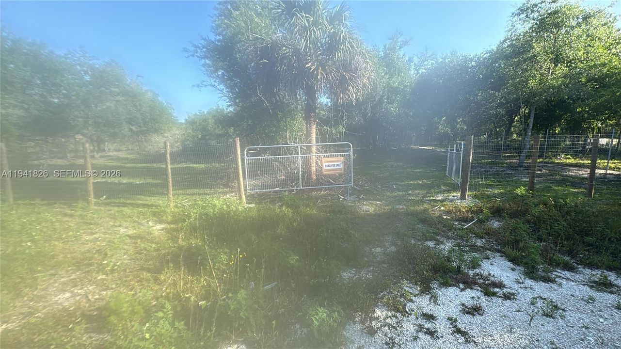 待售: $50,000 (1.25 acres)