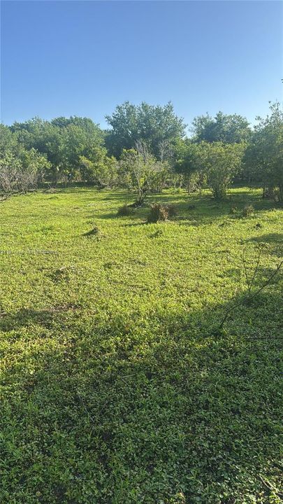 待售: $50,000 (1.25 acres)