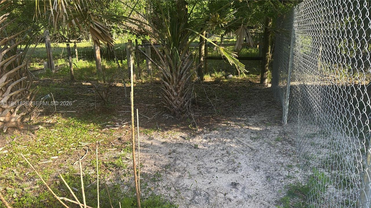 待售: $50,000 (1.25 acres)