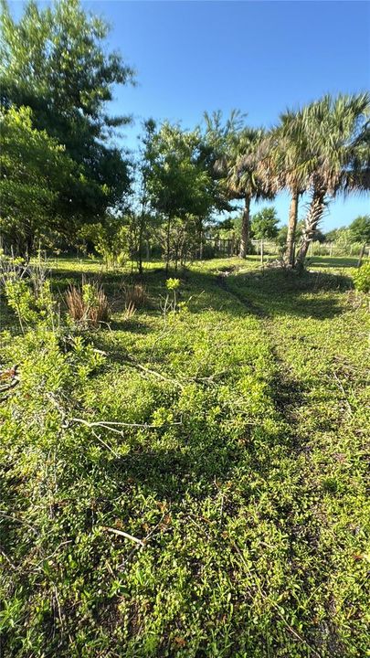 待售: $50,000 (1.25 acres)