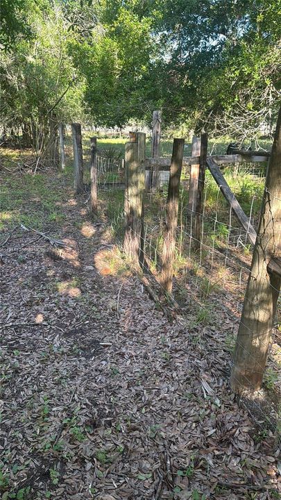 待售: $50,000 (1.25 acres)