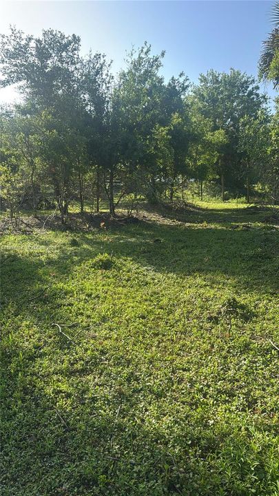 待售: $50,000 (1.25 acres)