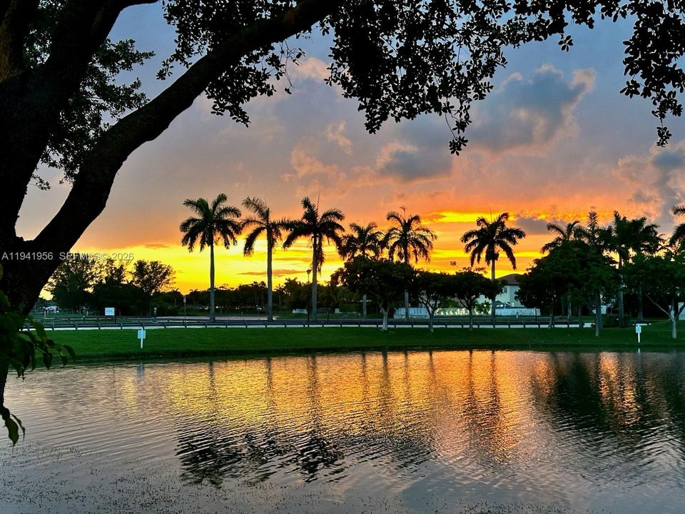 Evening view from back porch