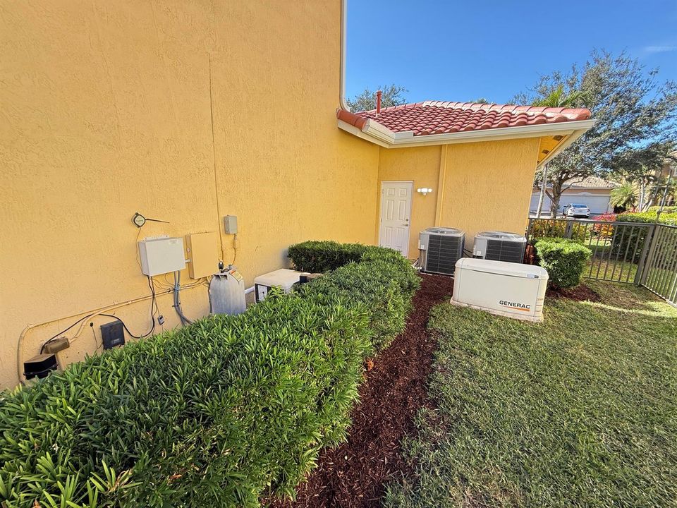North Side Yard