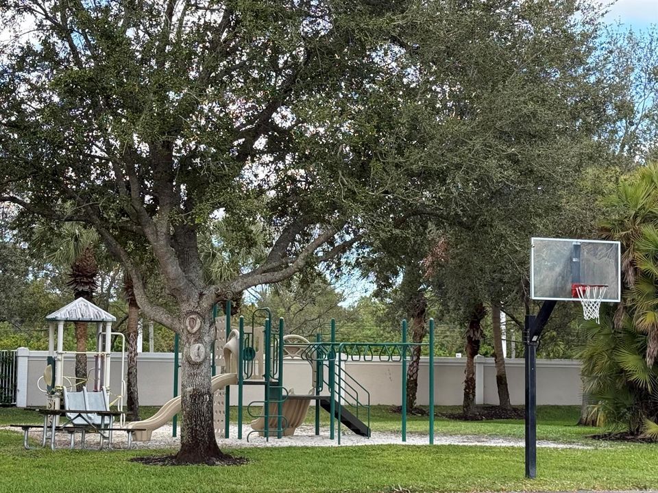 Community Playground & Basketball Hoop