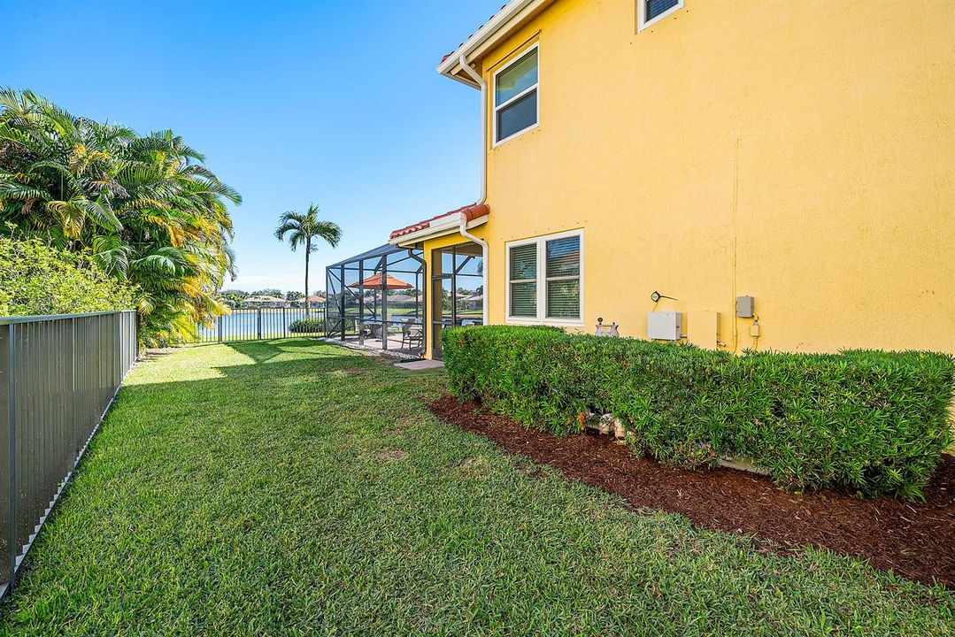 North Side Yard
