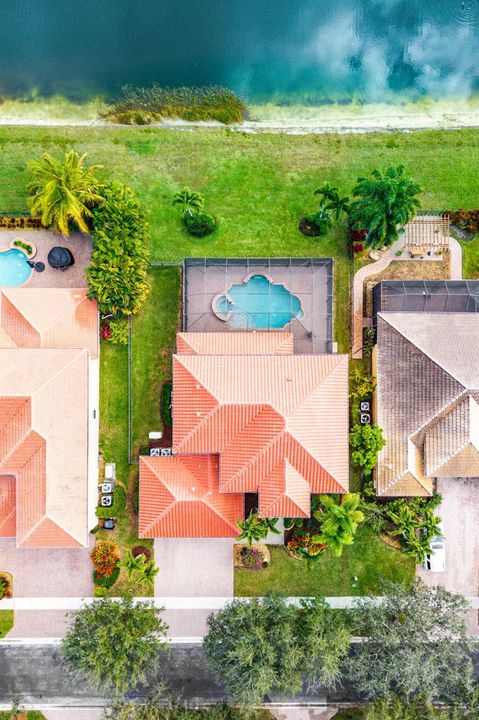 Aerial Bird's Eye