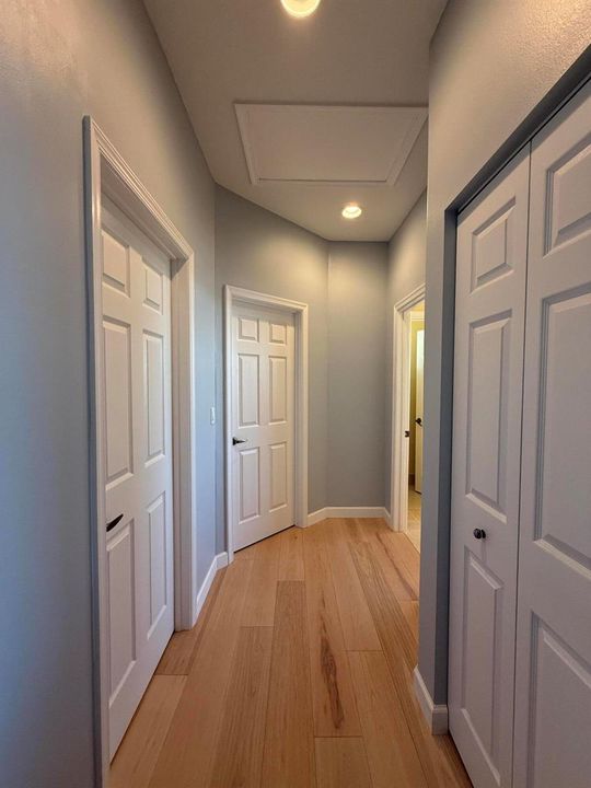 Master Suite Closet and Bath Hall