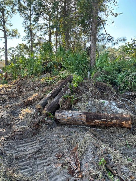 На продажу: $45,000 (0.24 acres)