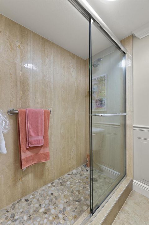 Primary Shower