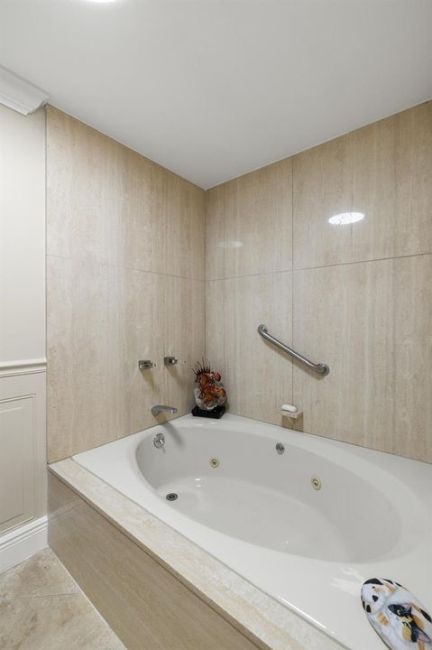 Primary Bathtub