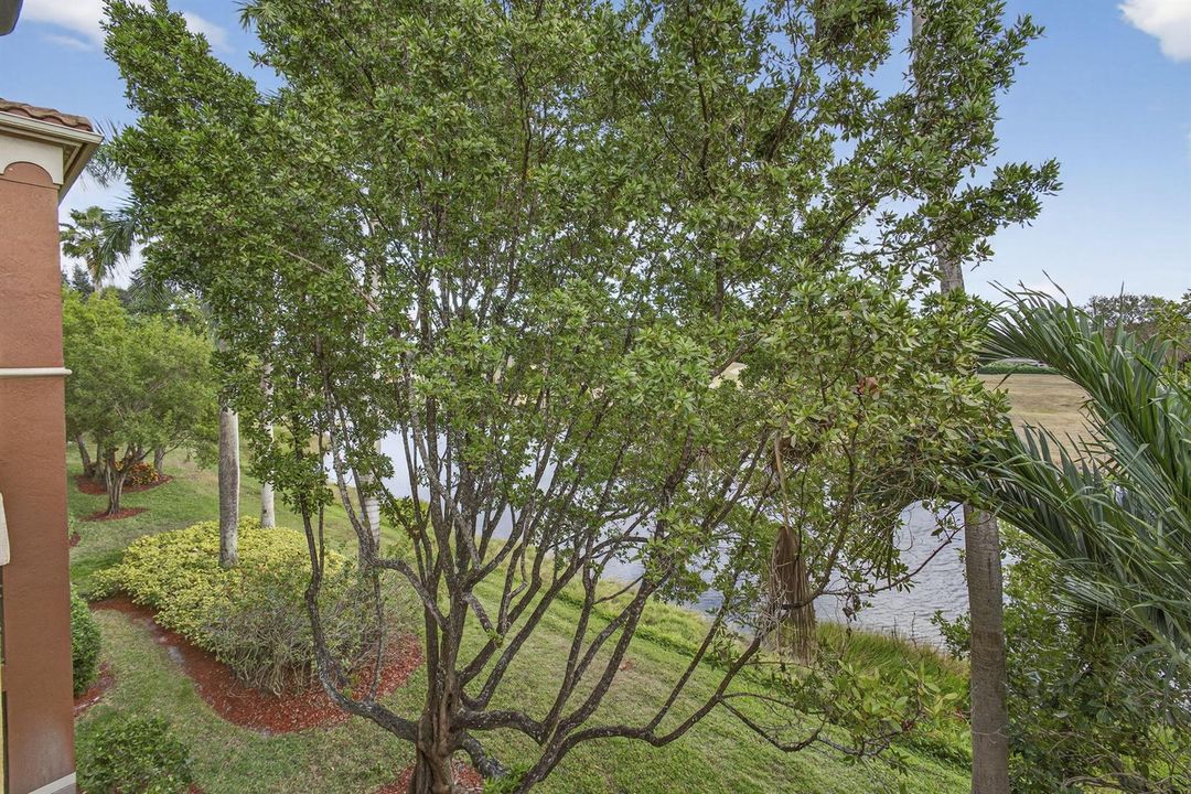 23-web-or-mls-BS1A5269