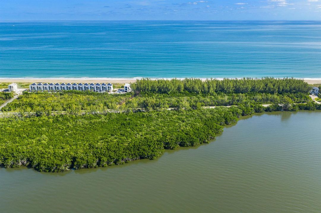 DJI_20251204105611_0563_D