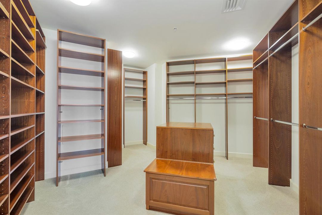 primary closet #1