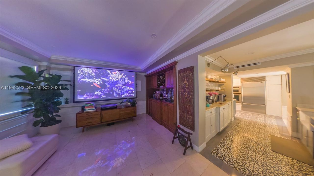 110" TV Screen
