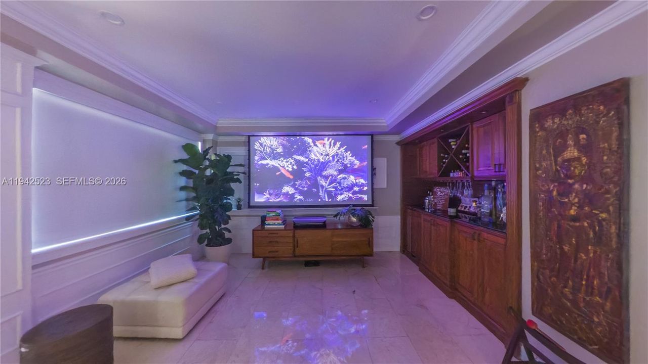 110" TV Screen