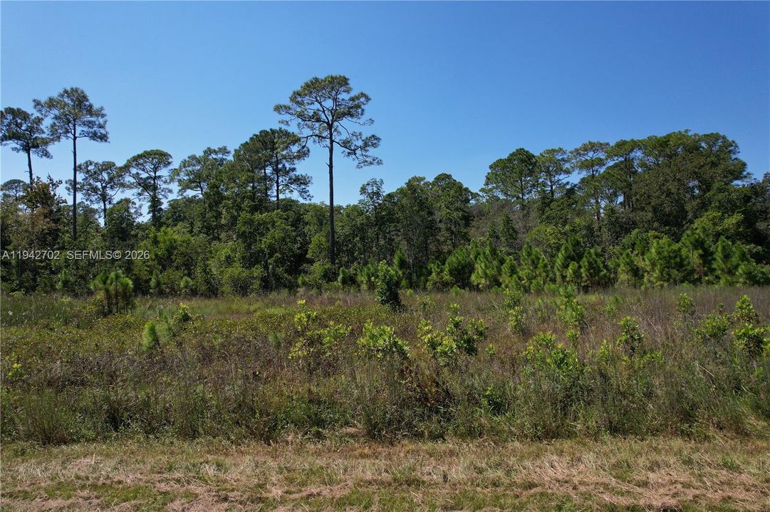 На продажу: $29,000 (2.50 acres)