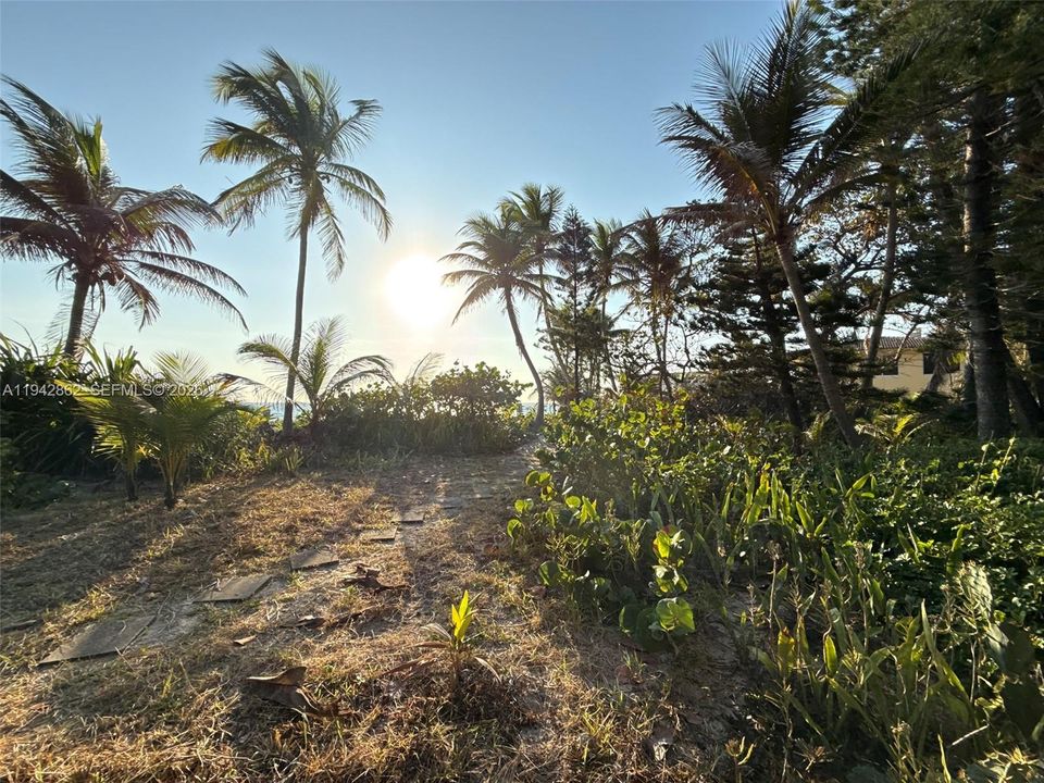 For Sale: $5,626,000 (0.31 acres)