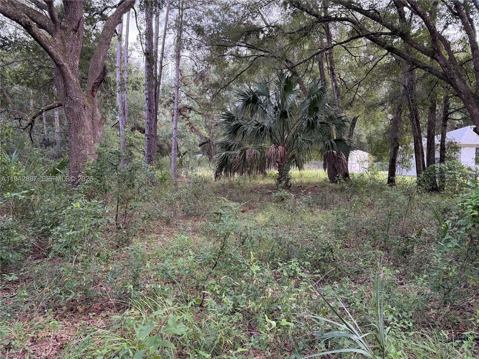 На продажу: $25,000 (0.25 acres)