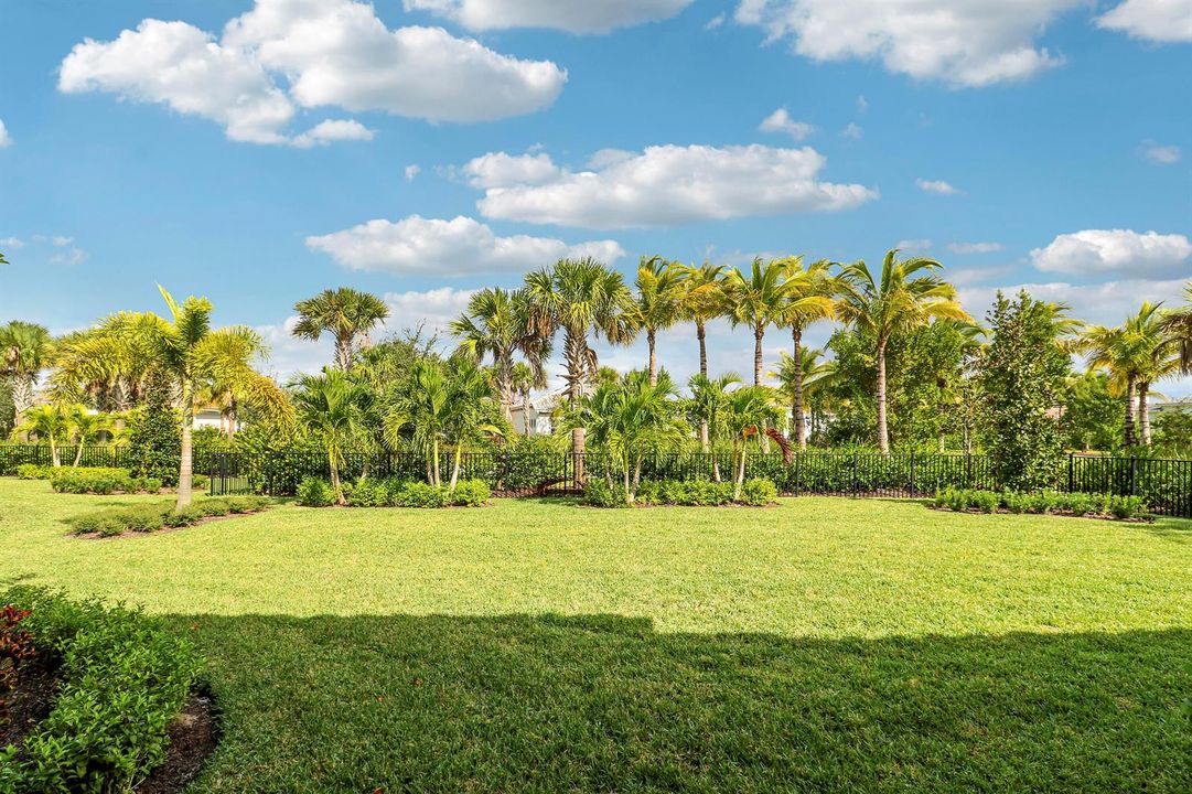Large Backyard