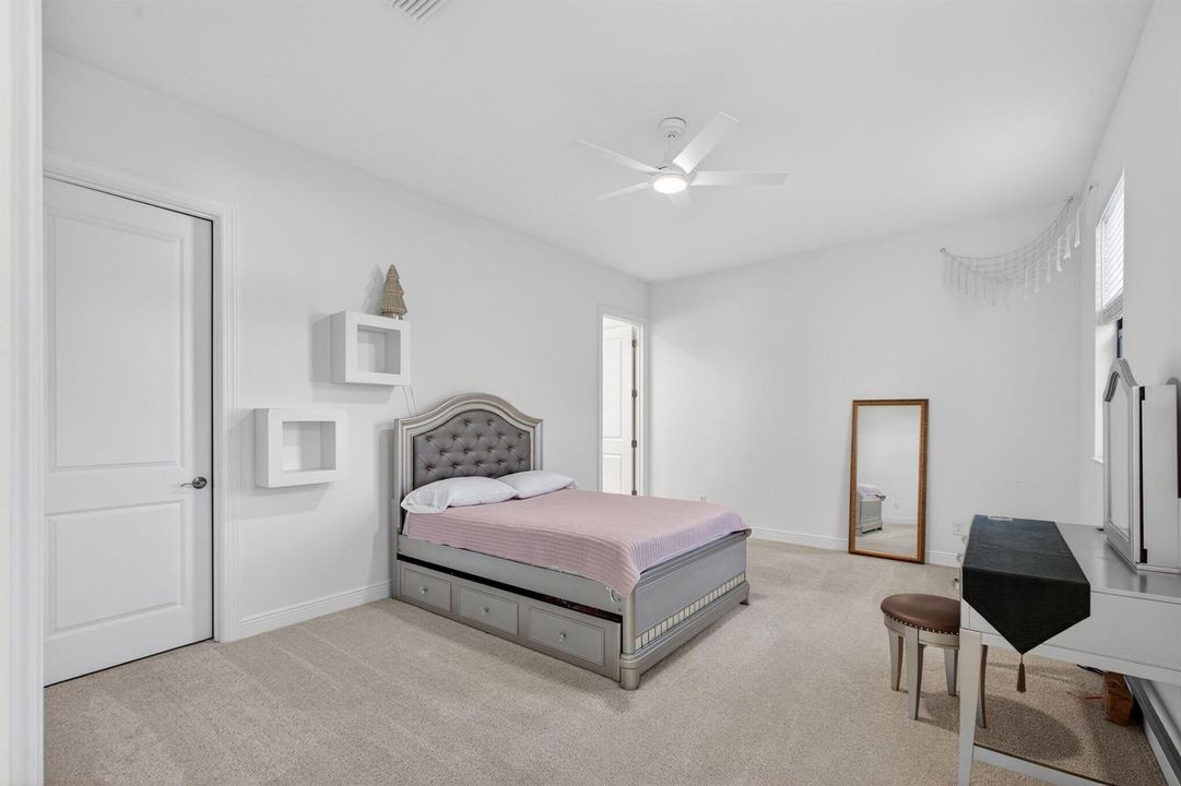 50-web-or-mls-5P1A0717