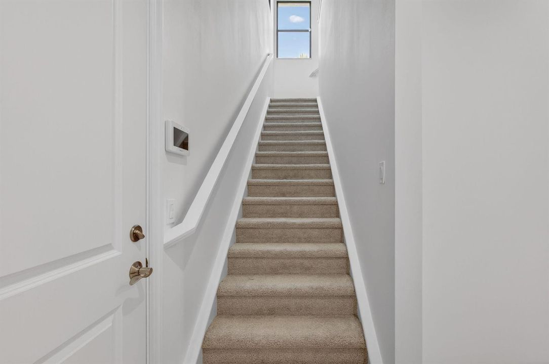 46-web-or-mls-5P1A0687