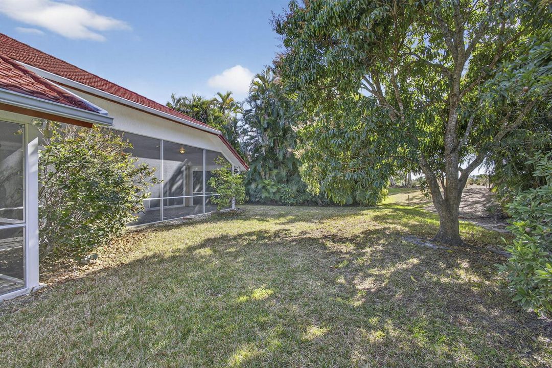56-web-or-mls-BS1A5195