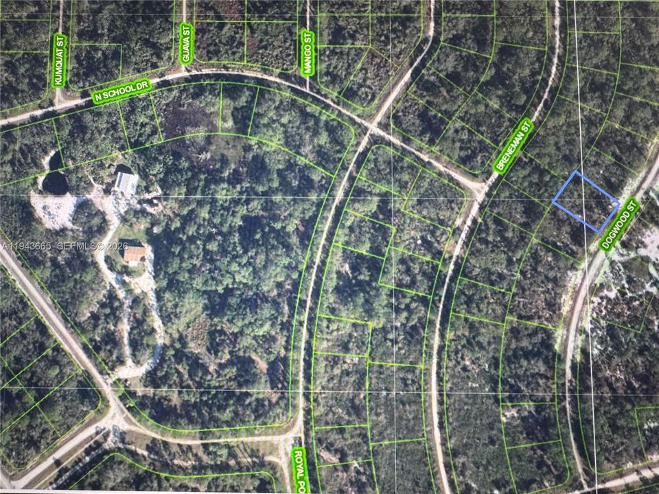 En Venta: $35,000 (0.25 acres)