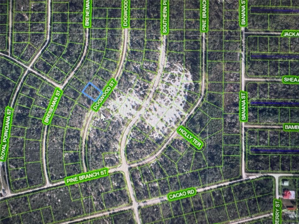 En Venta: $35,000 (0.25 acres)