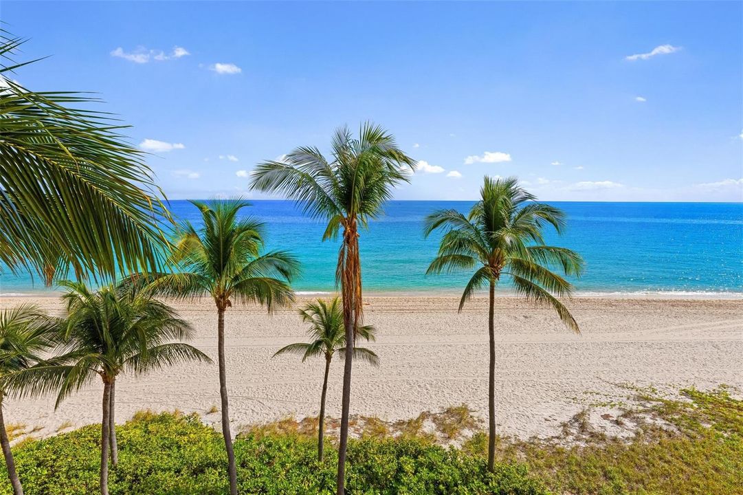 Direct Ocean Front!!