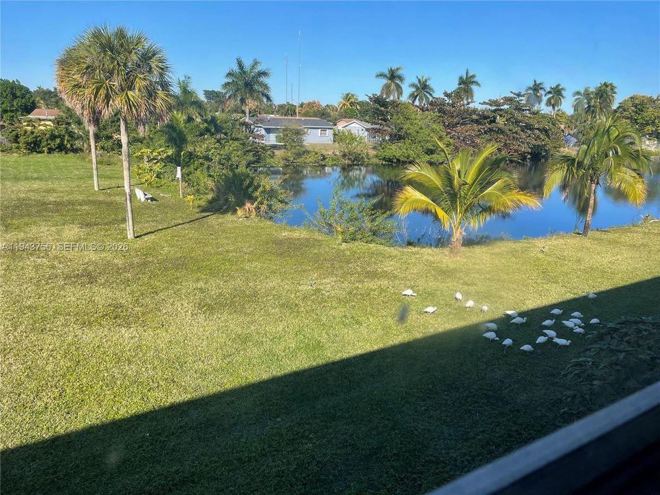 Recientemente alquilado: $1,250 (1 camas, 1 baños, 580 Pies cuadrados)