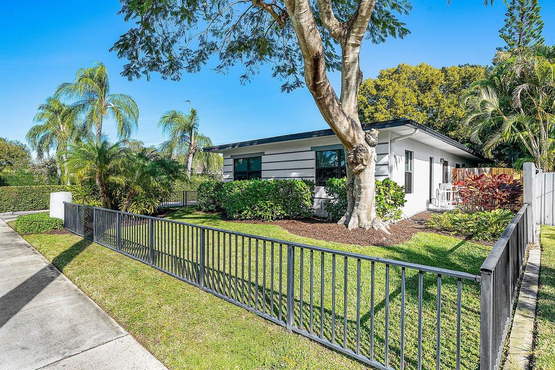 A FENCED YARD