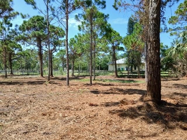 En Venta: $200,000 (1.00 acres)