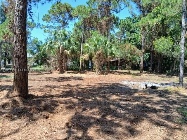 En Venta: $200,000 (1.00 acres)