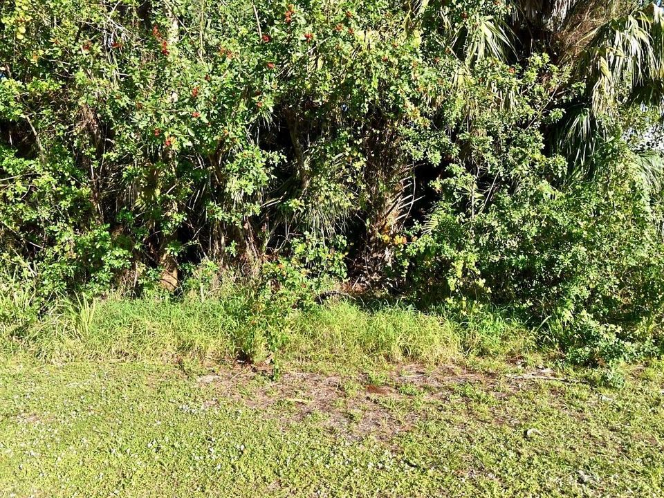 NELSON 45 ST LOT FORM APPRASER SITE