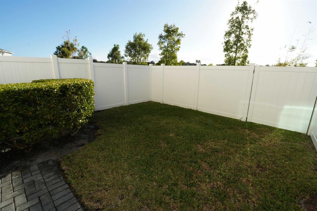 back yard 2 (1)
