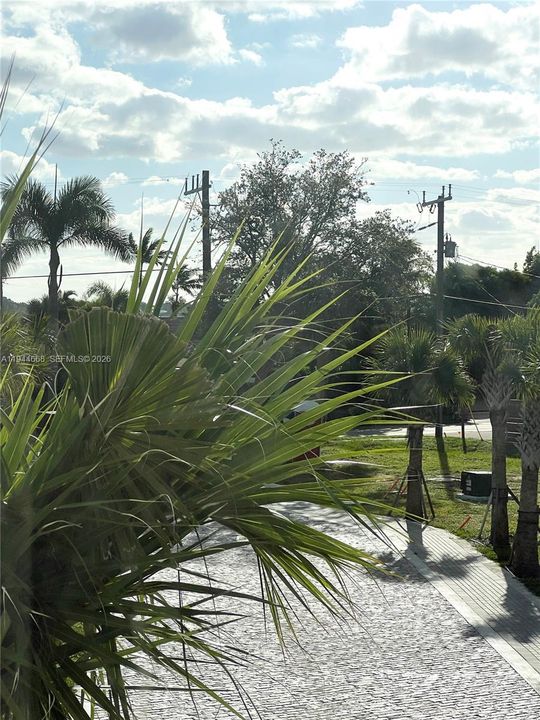 Partial views of the lagoon