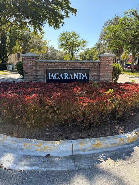 Corner Of Jacaranda CC Drive