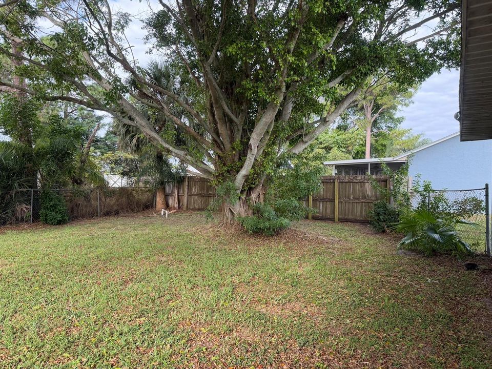 Fenced Yard